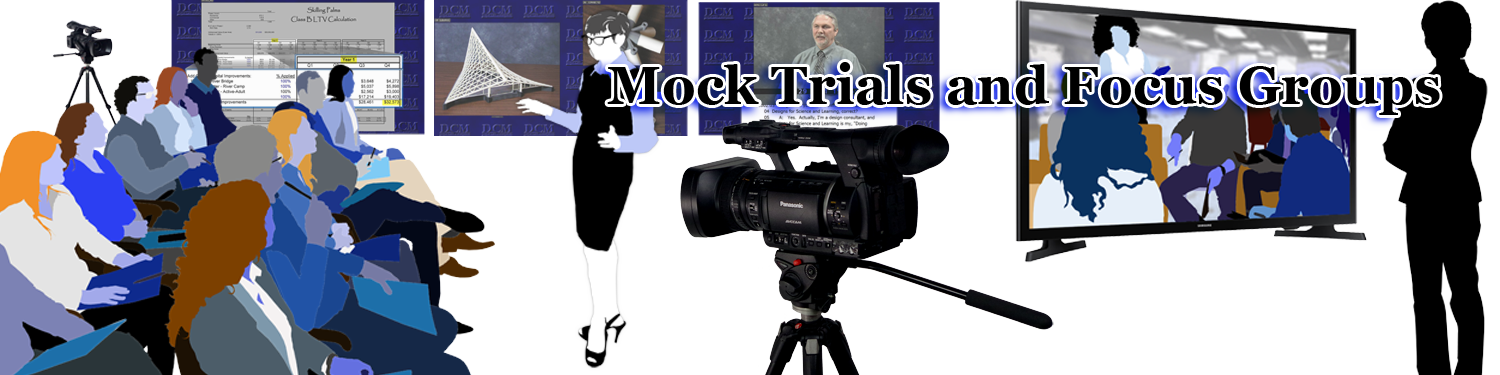 Mock Trial Focus Group